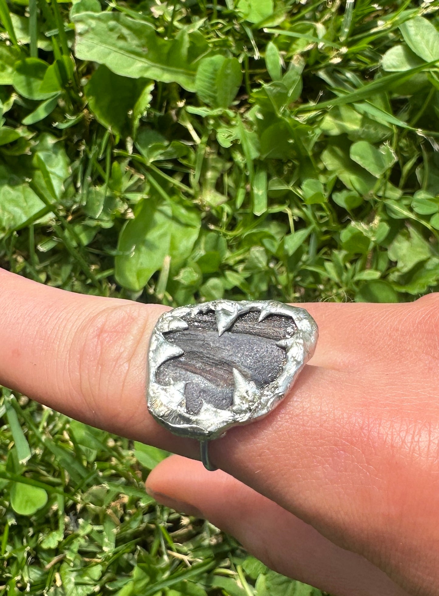 Oregon Shell Ring